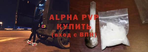 стаф Новодвинск